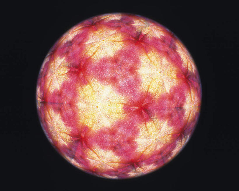 无人,横图,室内,特写,白天,正面,万花筒,一排,许多,黑色背景,花纹,条纹,整齐,结构,圆形,图案,圆圈,排列,一个,黄色,红色,框架,摄影,影棚,单个,轮廓,耀眼,明亮,队列,彩图,影棚拍摄,拍摄