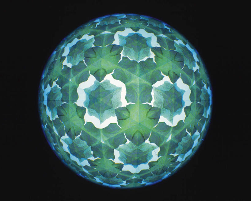 无人,横图,室内,特写,白天,正面,植物,万花筒,叶子,一排,许多,黑色背景,花纹,条纹,整齐,结构,圆形,三角形,图案,绿叶,排列,一个,绿色,白色,框架,嫩叶,摄影,影棚,生长,单个,成长,轮廓,耀眼,明亮,队列,叶,叶片,彩图,影棚拍摄,拍摄