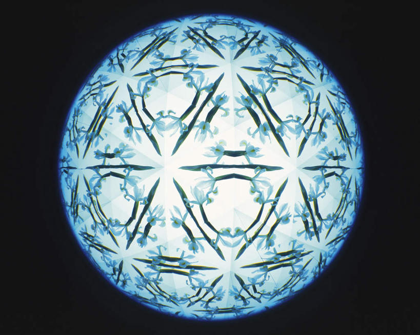 无人,横图,室内,特写,白天,正面,游戏,静物,玩具,万花筒,黑色背景,花纹,艺术,盛开,反射,图案,光,玩,花蕾,娱乐,花,花瓣,花朵,鲜花,一个,蓝色,花苞,花蕊,休闲,益智,摄影,影棚,单个,活动,三棱镜,发泄,消遣,智力,光学,宣泄,玩耍,嬉戏,彩图,影棚拍摄,拍摄