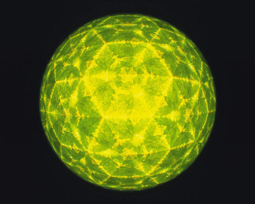 无人,横图,室内,特写,白天,正面,游戏,静物,玩具,万花筒,叶子,黑色背景,花纹,艺术,反射,图案,光,绿叶,玩,娱乐,一个,黄色,绿色,休闲,嫩叶,益智,摄影,影棚,单个,活动,三棱镜,发泄,消遣,智力,光学,宣泄,叶,叶片,玩耍,嬉戏,彩图,影棚拍摄,拍摄