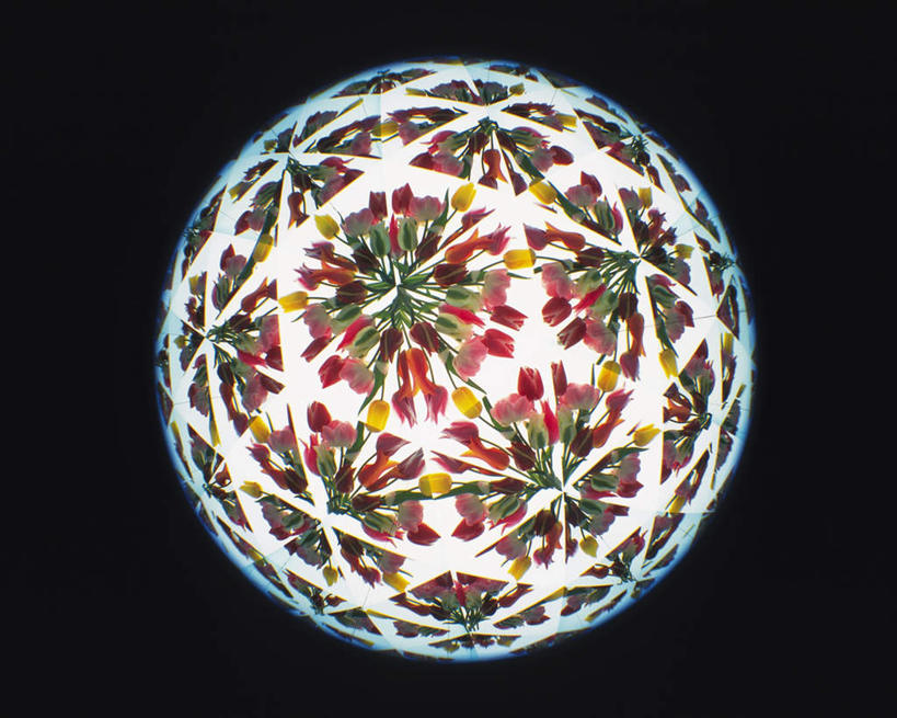 无人,横图,室内,特写,白天,正面,游戏,静物,玩具,万花筒,黑色背景,花纹,艺术,盛开,反射,图案,光,玩,花蕾,娱乐,花,花瓣,花朵,鲜花,一个,红色,花苞,花蕊,休闲,益智,摄影,影棚,单个,活动,三棱镜,发泄,消遣,智力,光学,宣泄,玩耍,嬉戏,彩图,影棚拍摄,拍摄