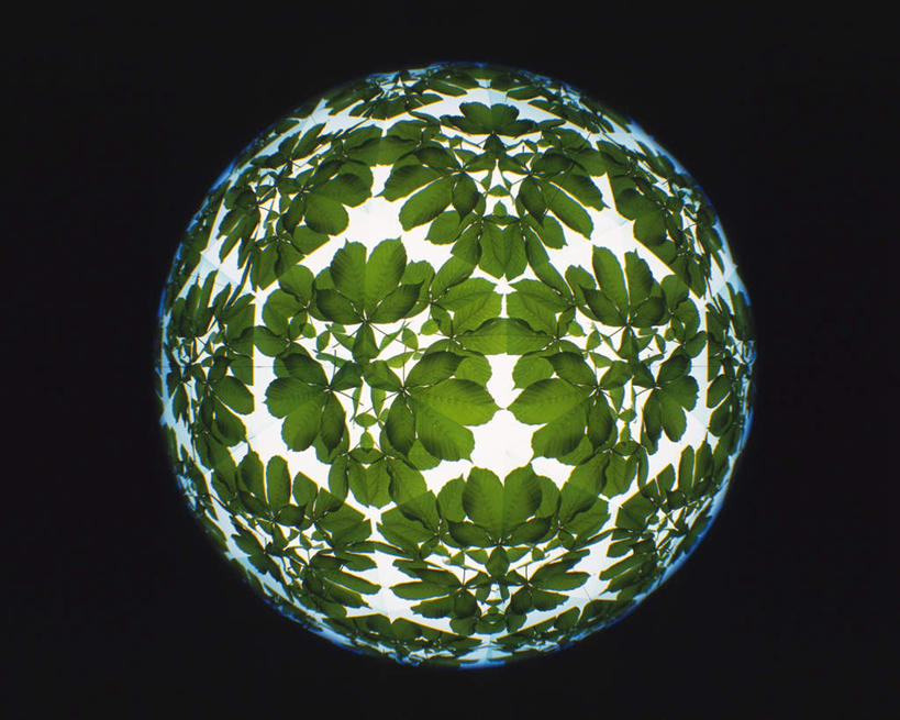 无人,横图,室内,特写,白天,正面,游戏,静物,玩具,万花筒,叶子,黑色背景,花纹,艺术,盛开,反射,图案,光,绿叶,玩,花蕾,娱乐,花,花瓣,花朵,鲜花,一个,绿色,花苞,花蕊,休闲,嫩叶,益智,摄影,影棚,单个,活动,三棱镜,发泄,消遣,智力,光学,宣泄,叶,叶片,玩耍,嬉戏,彩图,影棚拍摄,拍摄