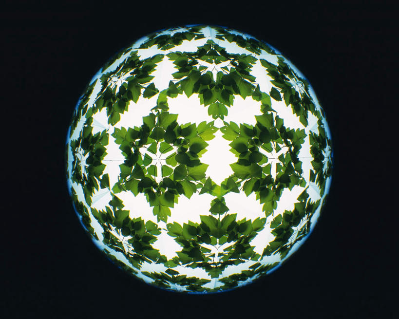 无人,横图,室内,特写,白天,正面,游戏,静物,玩具,万花筒,叶子,黑色背景,花纹,艺术,盛开,反射,图案,光,绿叶,玩,花蕾,娱乐,花,花瓣,花朵,鲜花,一个,绿色,花苞,花蕊,休闲,嫩叶,益智,摄影,影棚,单个,活动,三棱镜,发泄,消遣,智力,光学,宣泄,叶,叶片,玩耍,嬉戏,彩图,影棚拍摄,拍摄