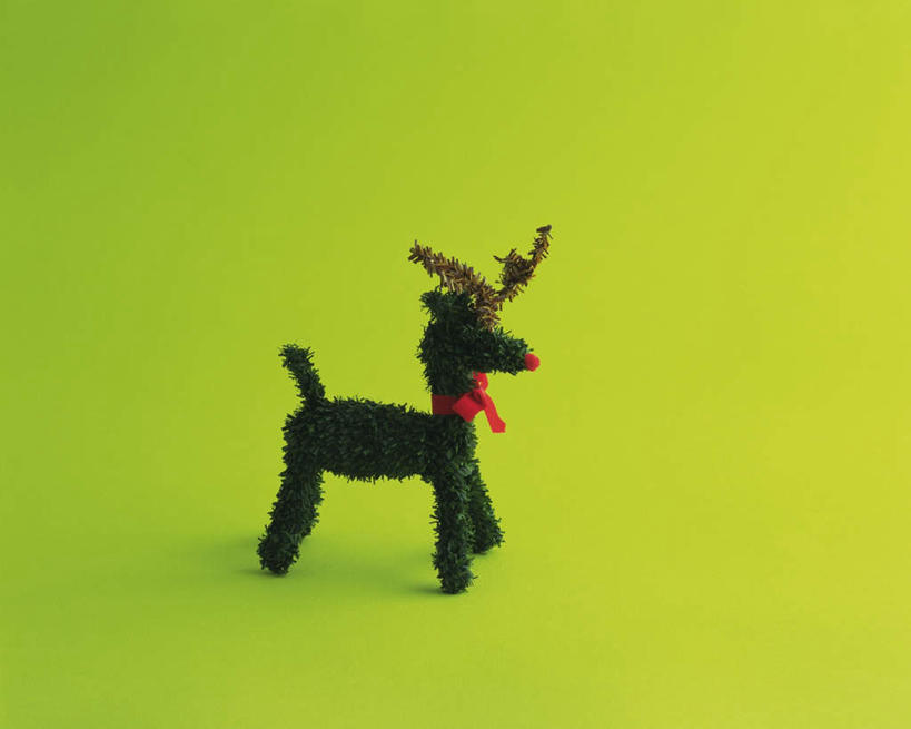 无人,横图,俯视,室内,特写,白天,游戏,鹿,静物,玩具,圣诞节,绿色背景,节日,庆祝,玩偶,玩,文化,娱乐,一个,绿色,庆典,休闲,益智,摄影,影棚,单个,活动,纪念,发泄,消遣,智力,宣泄,角鹿,驯鹿,玩耍,嬉戏,彩图,高角度拍摄,影棚拍摄,拍摄