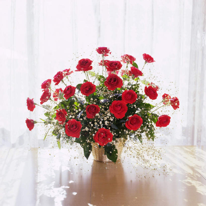 无人,方图,室内,白天,正面,爱情,幸福,纯洁,热情,窗户,窗帘,桌面,桌子,玫瑰,许多,阴影,盛开,光线,花篮,影子,玫瑰花,浪漫,花蕾,满天星,玻璃窗,花,花瓣,花朵,鲜花,阳光,花苞,花蕊,温暖,温馨,恩爱,和睦,感动,尊敬,天真,刺玫花,徘徊花,彩图,融洽