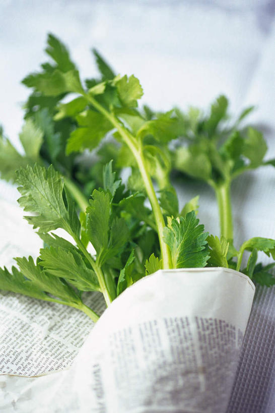 无人,竖图,俯视,室内,特写,白天,芹菜,蔬菜,报纸,一堆,许多,堆叠,堆积,朦胧,模糊,新鲜,信息,食品,食物,摄影,有机食品,绿色食品,影棚,堆,新闻,药芹,水芹,旱芹,彩图,高角度拍摄,影棚拍摄,拍摄,报刊