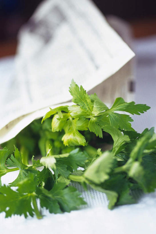 无人,竖图,俯视,室内,特写,白天,芹菜,蔬菜,报纸,一堆,许多,堆叠,堆积,朦胧,模糊,新鲜,信息,食品,食物,摄影,有机食品,绿色食品,影棚,堆,新闻,药芹,水芹,旱芹,彩图,高角度拍摄,影棚拍摄,拍摄,报刊