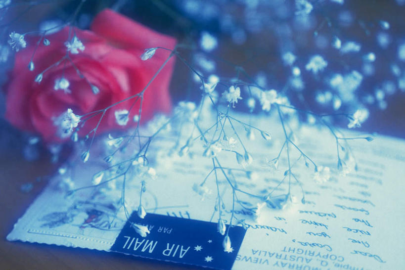 无人,横图,俯视,室内,特写,白天,爱情,幸福,纯洁,热情,玫瑰,许多,朦胧,模糊,盛开,玫瑰花,明信片,浪漫,花蕾,花,花瓣,花朵,鲜花,一朵,红色,花苞,花蕊,温暖,温馨,恩爱,信件,和睦,感动,尊敬,天真,刺玫花,徘徊花,彩图,高角度拍摄,融洽