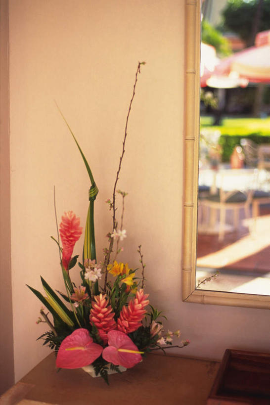 无人,竖图,俯视,室内,白天,窗户,地板,落地窗,桌子,鹤望兰,许多,盛开,墙,火鹤花,安祖花,地面,花蕾,木地板,玻璃窗,墙壁,墙面,花,花瓣,花朵,鲜花,花苞,花蕊,红掌,花烛,高雅,清新,红鹤芋,猪尾花,烛台花,蜡烛花,红姜花,极乐鸟花,天堂鸟,彩图,高角度拍摄