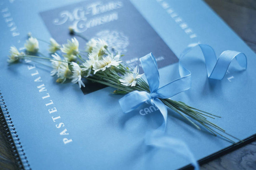 无人,横图,俯视,室内,特写,白天,桌面,书籍,朦胧,模糊,盛开,丝绸,丝带,玛格丽特,花蕾,绸带,雏菊,花,花瓣,花朵,鲜花,白色,花苞,花蕊,一束,菊花,摄影,影棚,捆绑,延命菊,幸福花,春菊,马兰头花,书,图书,彩图,高角度拍摄,影棚拍摄,拍摄