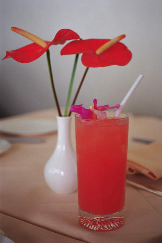 果汁,无人,竖图,俯视,室内,特写,白天,桌子,杯子,许多,盛开,墙,火鹤花,安祖花,花蕾,墙壁,墙面,玻璃制品,花,花瓣,花朵,鲜花,红色,酒杯,啤酒杯,花苞,花蕊,红掌,花烛,芙蓉花,木芙蓉,拒霜花,木莲,红鹤芋,猪尾花,烛台花,蜡烛花,地芙蓉,四面花,转观花,玻璃杯,彩图,高角度拍摄