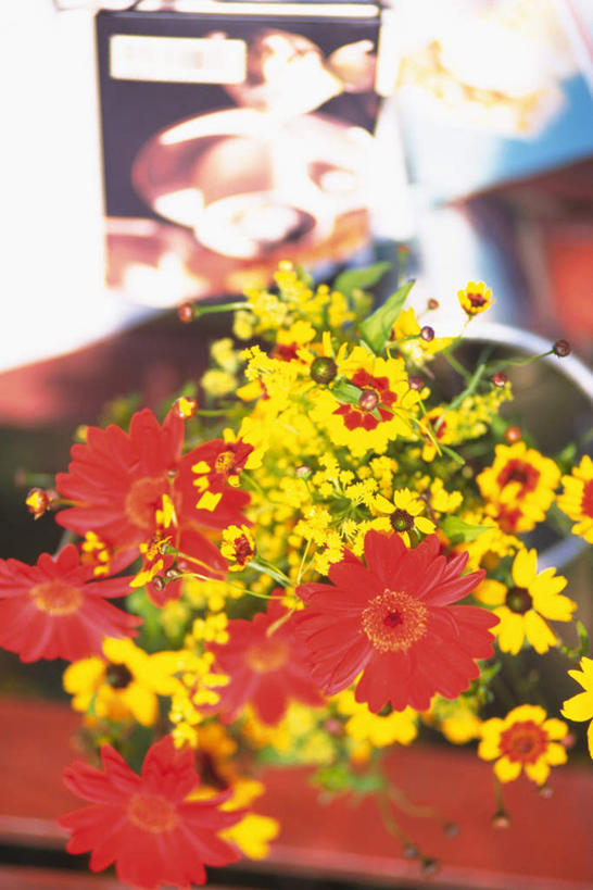 无人,竖图,俯视,室外,特写,白天,旅游,度假,美景,植物,许多,阴影,朦胧,模糊,光线,影子,墙,景观,花蕾,娱乐,墙壁,墙面,花瓣,花朵,花卉,鲜花,黄色,红色,阳光,自然,花苞,享受,休闲,景色,放松,自然风光,黑心菊,彩图,高角度拍摄