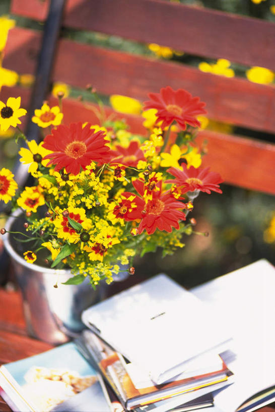 无人,竖图,俯视,室外,特写,白天,旅游,度假,智慧,美景,植物,书籍,椅子,许多,朦胧,模糊,艺术,木椅,躺椅,景观,花蕾,文化,娱乐,花瓣,花朵,花卉,鲜花,黄色,红色,自然,插花,花苞,享受,休闲,景色,放松,插花艺术,创造,自然风光,创作,想象,黑心菊,书,图书,彩图,高角度拍摄