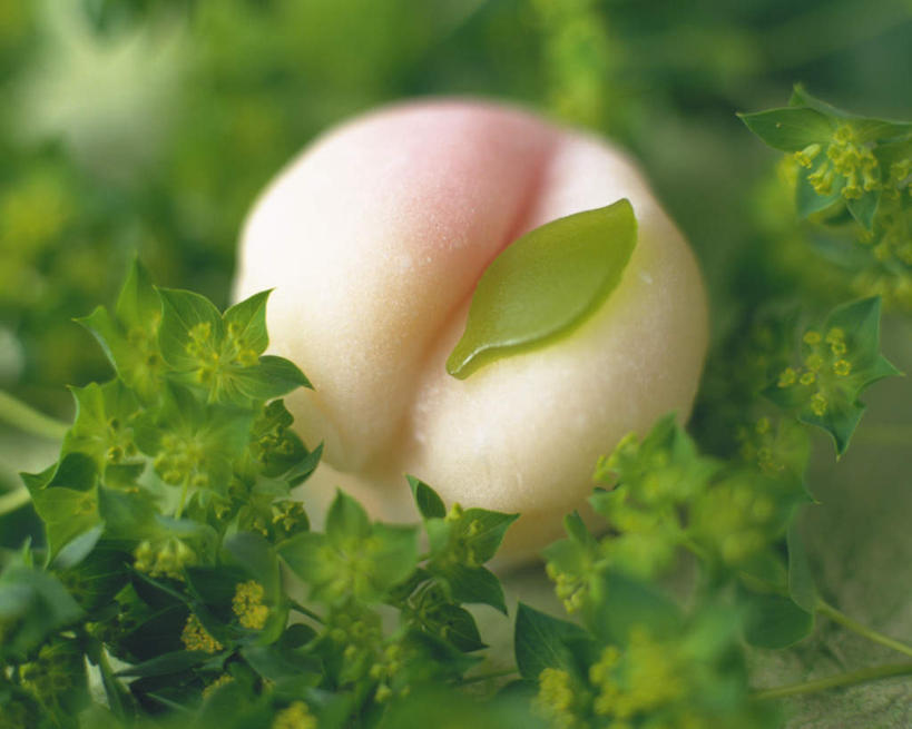 点心,无人,横图,俯视,室外,特写,白天,叶子,朦胧,模糊,装饰,圆形,和果子,日本料理,料理,食品,甜点,甜品,绿叶,美食,食物,糕点,一个,日式料理,甜食,日式,嫩叶,单个,华丽,修饰,点缀,衬托,美观,雅致,雅观,叶,叶片,彩图,高角度拍摄