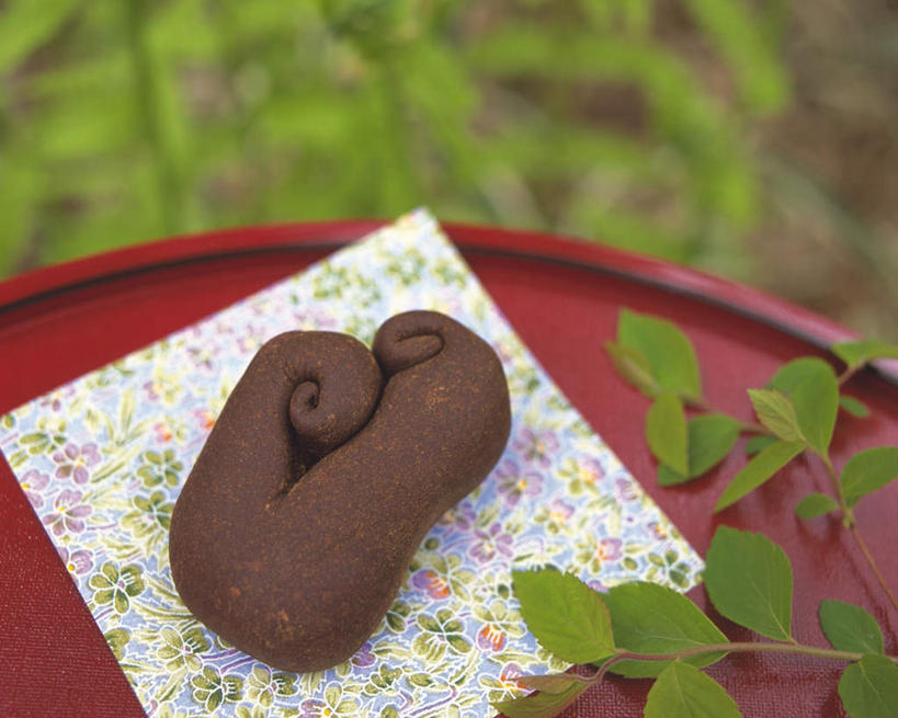 点心,无人,横图,俯视,室外,特写,白天,植物,叶子,朦胧,模糊,布料,竹盘,和果子,日本料理,料理,食品,甜点,甜品,褐色,绿叶,布纹,美食,桌布,食物,糕点,一个,绿色,餐巾,台布,日式料理,甜食,日式,嫩叶,单个,叶,叶片,彩图,高角度拍摄