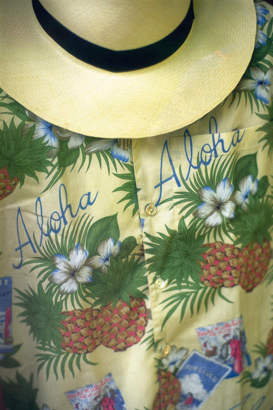 无人,竖图,俯视,室内,特写,白天,衬衫,静物,帽子,叶子,花纹,草帽,绿叶,一只,嫩叶,叶,叶片,彩图,高角度拍摄,衬衣