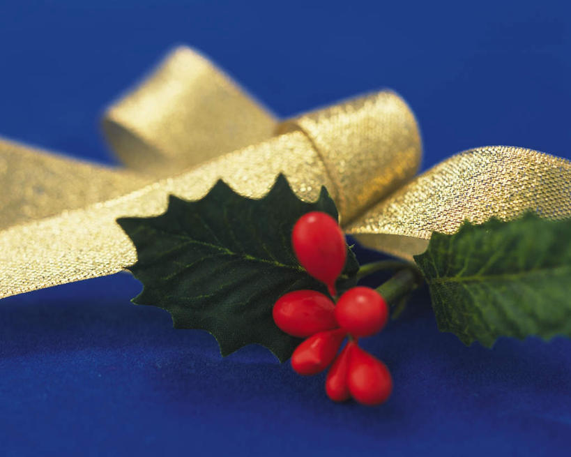 无人,横图,室内,特写,白天,正面,静物,叶子,圣诞节,一条,许多,蓝色背景,节日,朦胧,模糊,庆祝,绿叶,缎带,文化,两个,红色,庆典,金色,嫩叶,摄影,冬青,影棚,纪念,枸骨冬青,构骨,猫儿刺,鸟不宿,叶,叶片,彩图,影棚拍摄,拍摄