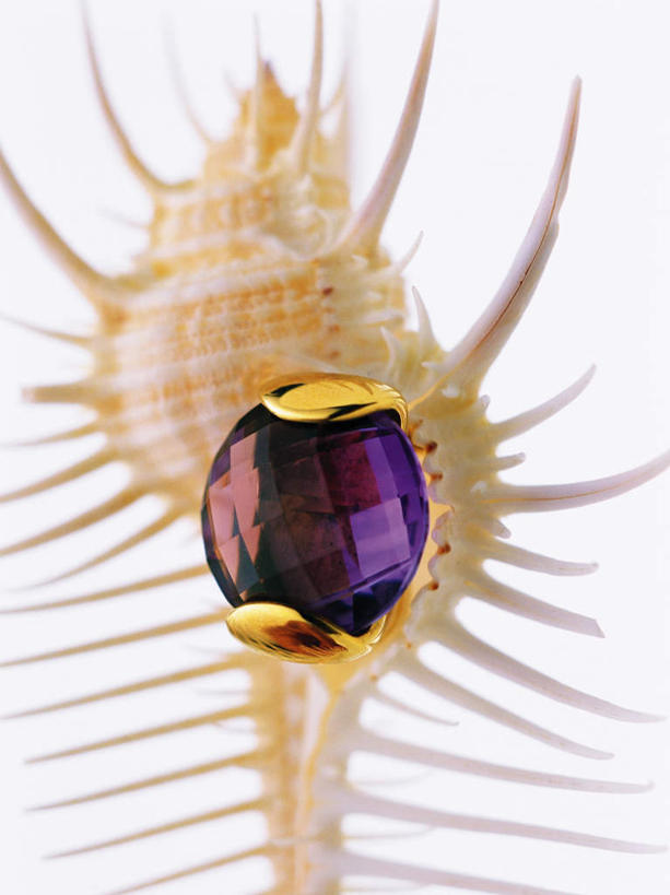 无人,竖图,室内,特写,白天,白色背景,正面,静物,贝壳,朦胧,模糊,装饰,装饰品,一个,首饰,摄影,影棚,单个,华丽,修饰,点缀,宝石,衬托,美观,雅致,雅观,贵金属,贝类外壳,海螺壳,软体动物外壳,彩图,影棚拍摄,拍摄