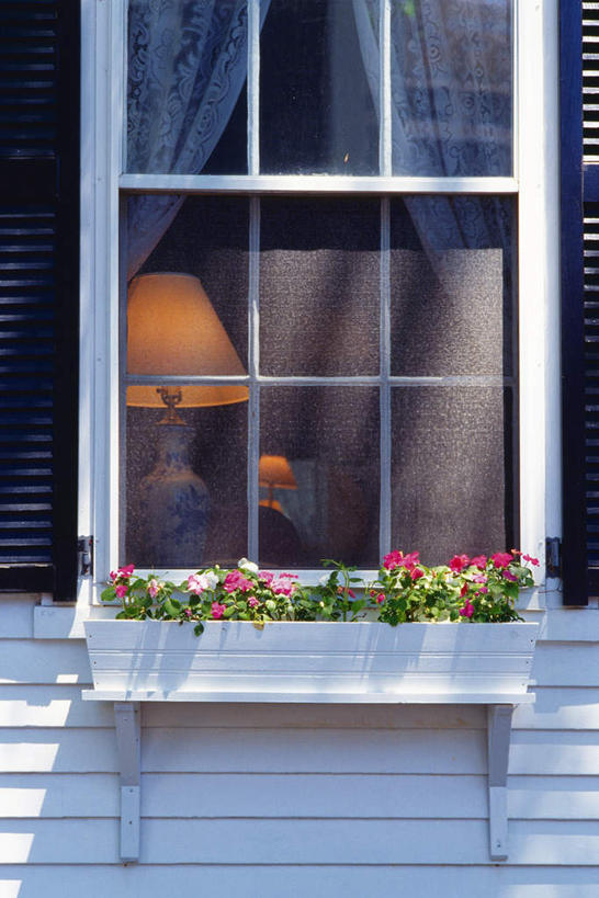 无人,竖图,室外,白天,正面,度假,美景,窗户,台灯,城市风光,城市,照明,美国,许多,阴影,盛开,光线,花坛,影子,景观,灯光,花蕾,娱乐,玻璃窗,灯,花,花瓣,花朵,鲜花,两个,粉色,阳光,灯具,花苞,花蕊,享受,休闲,景色,放松,照亮,北美,北美洲,照明设备,美洲,马萨诸塞州,麻州,麻省,马萨诸塞,麻塞诸塞,老殖民地,海湾之州,北亚美利加洲,亚美利加洲,楠塔基特,彩图