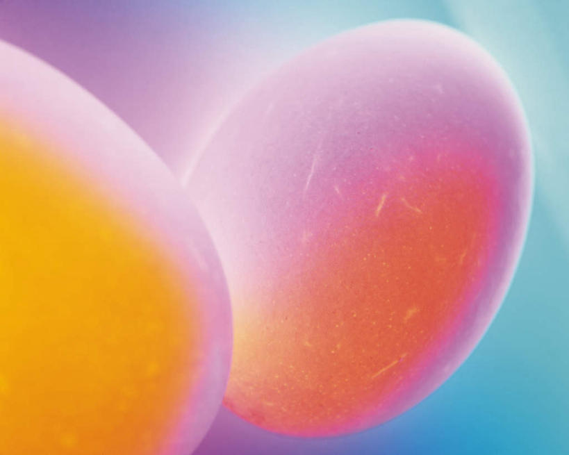 无人,横图,室内,特写,白天,正面,发光,蛋,鸡蛋,两个,蓝色,摄影,影棚,发亮,草鸡蛋,卵,彩图,影棚拍摄,拍摄