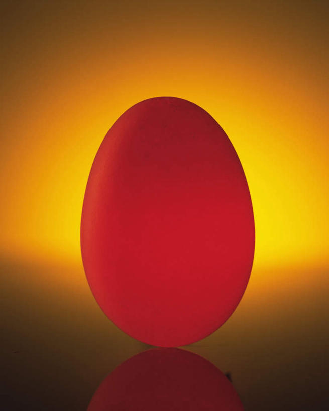 无人,竖图,室内,特写,白天,正面,阴影,黄色背景,发光,反射,影子,蛋,鸡蛋,一个,摄影,影棚,单个,发亮,草鸡蛋,卵,彩图,影棚拍摄,拍摄