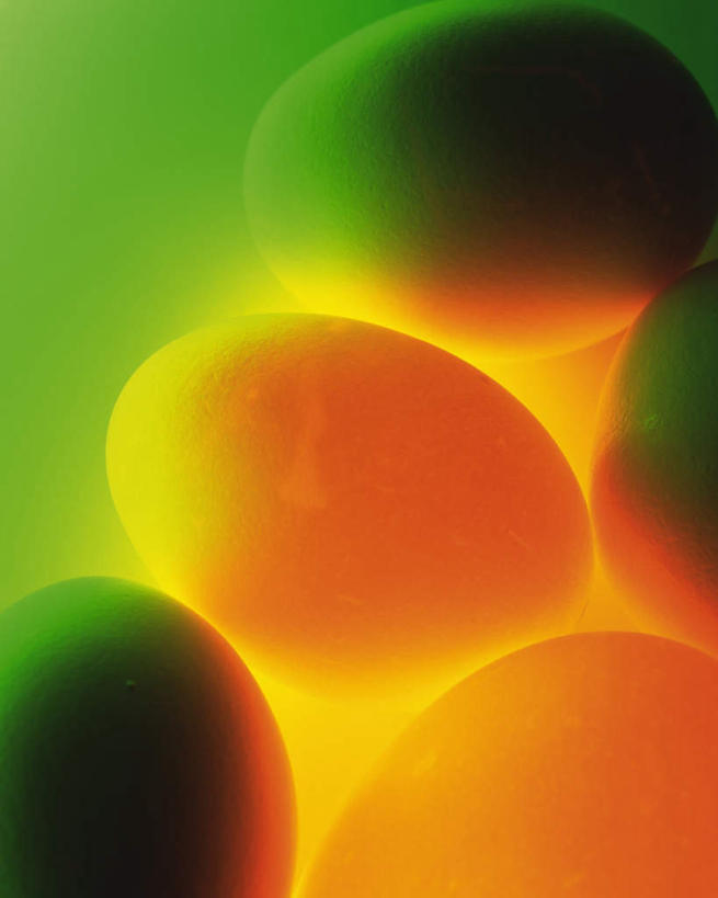 无人,竖图,室内,特写,白天,正面,五个,许多,绿色背景,发光,蛋,鸡蛋,摄影,影棚,发亮,草鸡蛋,卵,彩图,影棚拍摄,拍摄