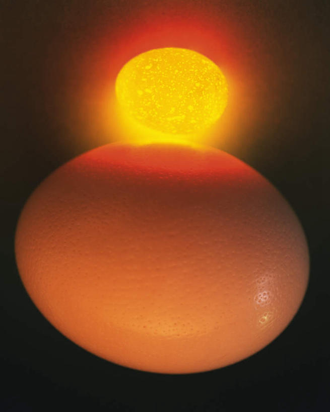 无人,竖图,室内,特写,白天,正面,黑色背景,发光,蛋,鸡蛋,两个,摄影,影棚,发亮,草鸡蛋,卵,彩图,影棚拍摄,拍摄