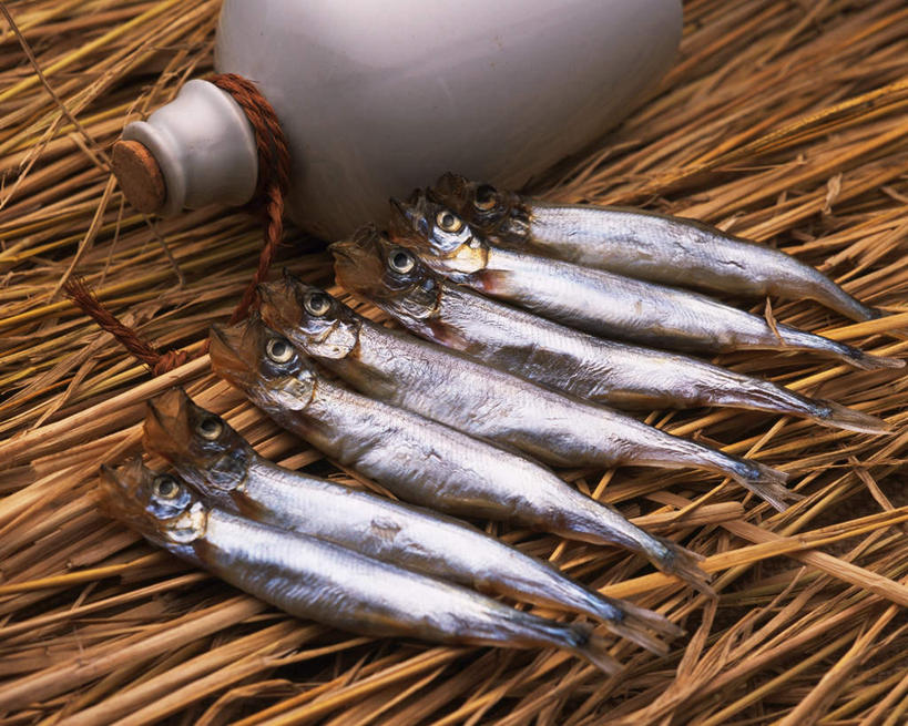 海鲜,无人,横图,俯视,室内,特写,白天,餐桌,桌子,一排,许多,朦胧,模糊,整齐,鱼,壶,草堆,鱼干,干草,水产,鱼类,海洋生物,水壶,排列,茶壶,餐台,队列,水生动物,海产品,水生物,海底动物,彩图,高角度拍摄