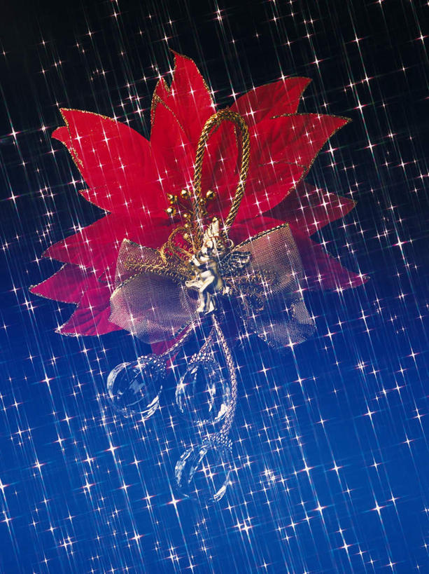 无人,竖图,室内,白天,正面,数码,科技,许多,阴影,蓝色背景,朦胧,模糊,盛开,光束,网络,灯光,圣诞红,一品红,高光,几何,计算机图形,合成,花蕾,花,花瓣,花朵,鲜花,一朵,红色,花苞,花蕊,圣诞花,电脑合成图,数码合成图,写实,具体,具象,彩图