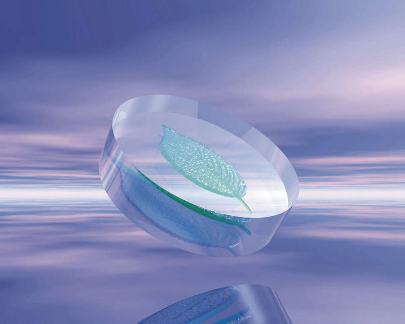 无人,横图,室内,白天,正面,数码,科技,植物,叶子,一片,阴影,反射,网络,纹理,影子,云,云朵,绿叶,水晶,高光,几何,计算机图形,合成,云彩,蓝色,绿色,白云,蓝天,天空,天,嫩叶,晴朗,电脑合成图,数码合成图,肌理,写实,具体,具象,圆柱形,水晶制品,叶,叶片,叶脉,晴空,彩图