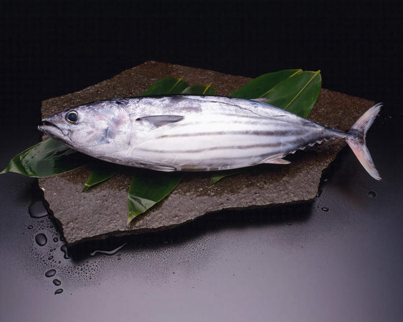 海鲜,无人,横图,俯视,室内,特写,白天,桌面,叶子,托盘,一条,阴影,灰色背景,反射,鱼,影子,绿叶,鲣鱼,水产,鱼类,海洋生物,嫩叶,摄影,影棚,松鱼,水生动物,海产品,水生物,海底动物,小金枪鱼,炸弹鱼,叶,叶片,彩图,高角度拍摄,全身,影棚拍摄,拍摄
