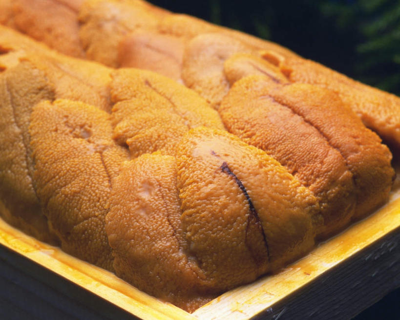 海鲜,无人,横图,俯视,室内,特写,白天,桌面,海胆,木制,木盒,水产,海洋生物,盒子,摄影,影棚,水生动物,海产品,水生物,海底动物,刺锅子,海刺猬,彩图,高角度拍摄,影棚拍摄,拍摄