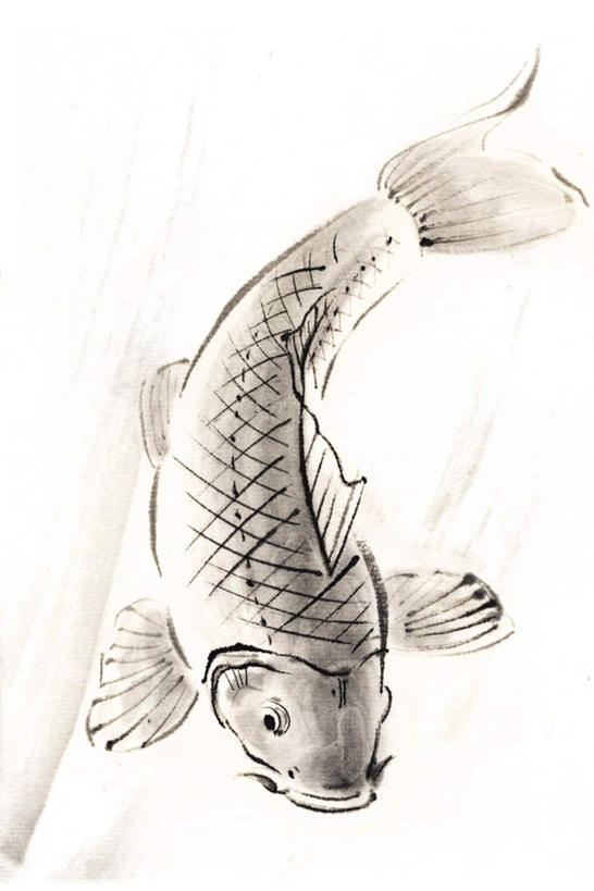 无人,竖图,俯视,插画,室内,白天,白色背景,数码,科技,鲤鱼,一条,阴影,网络,鱼,高光,几何,计算机图形,合成,图画,注视,鱼类,画,观察,看,观看,吉祥,电脑合成图,数码合成图,察看,关注,漫画,写实,具体,具象,年年有余,美梦成真,事业有成,鲤子,鲤拐子,彩图,高角度拍摄,全身