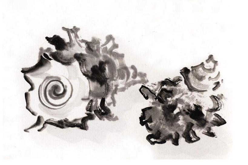 海鲜,无人,横图,插画,室内,白天,白色背景,正面,数码,科技,阴影,网络,海螺,高光,几何,计算机图形,合成,图画,水产,海洋生物,画,两个,软体动物,峨螺,电脑合成图,数码合成图,水生动物,海产品,水生物,漫画,海底动物,写实,具体,具象,马蹄螺,彩图,全身