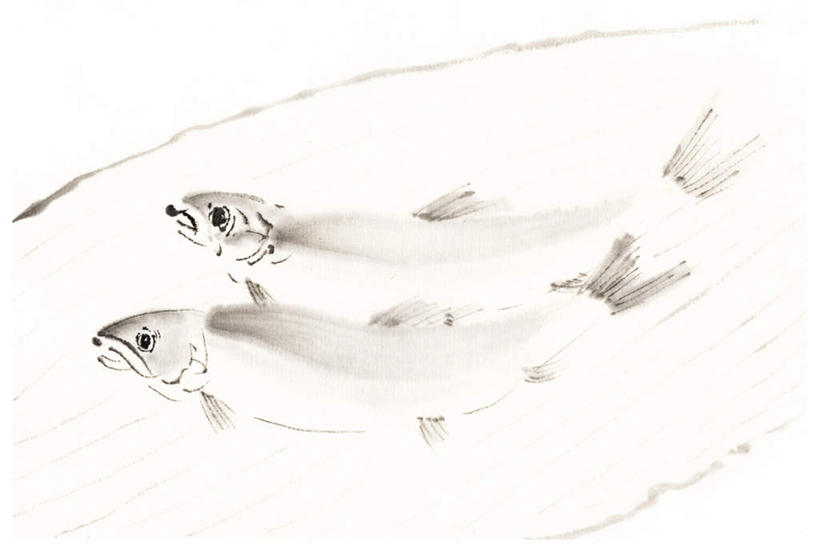 无人,横图,插画,室内,白天,白色背景,侧面,数码,科技,两条,阴影,网络,鱼,香鱼,高光,几何,计算机图形,合成,图画,注视,鱼类,海洋生物,画,观察,看,观看,电脑合成图,数码合成图,察看,关注,水生动物,水生物,漫画,海底动物,写实,具体,具象,瓜鱼,香油鱼,彩图,全身