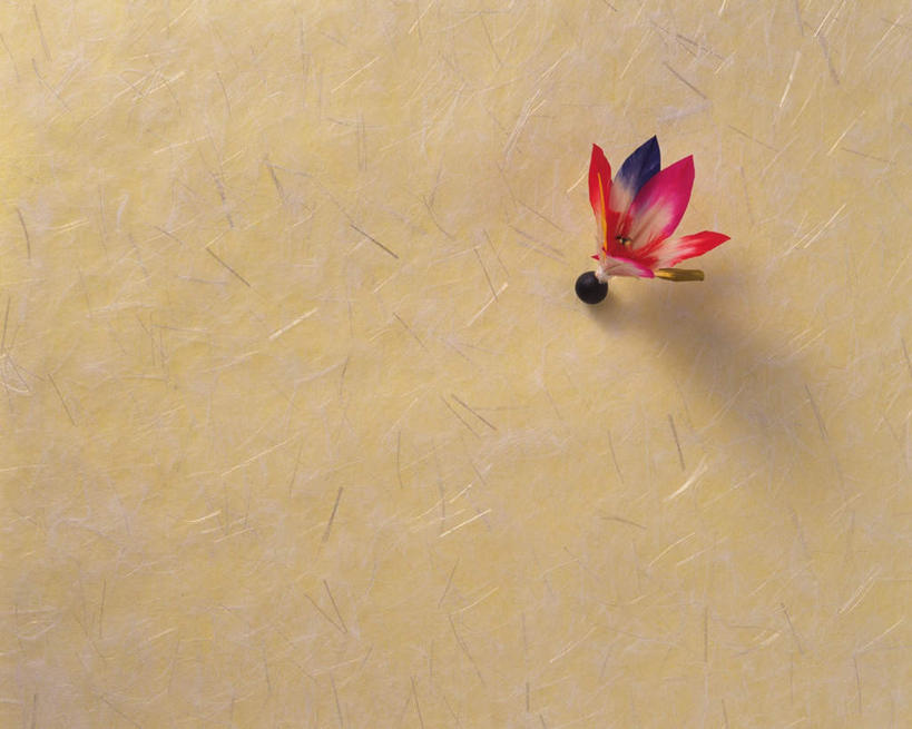 无人,横图,俯视,室内,特写,白天,锻炼,运动,桌面,静物,阴影,黄色背景,朦胧,模糊,反射,光线,板羽球,影子,运动器械,一个,红色,阳光,健身器械,单个,毽子,健身器材,羽子板,毽球,花毽,鸡毛毽,打手毽,毽子板球,体育,彩图,高角度拍摄,健身,运动器材