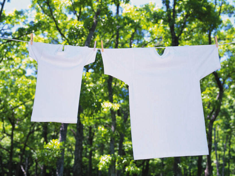 无人,横图,室外,白天,仰视,树林,植物,晾晒,朦胧,模糊,木制,树,树木,衣服,蓝色,绿色,白色,蓝天,天空,自然,夹子,木制品,绳子,天,两件,生长,晴朗,成长,绳索,衣夹,万里无云,晴空,晴空万里,彩图,低角度拍摄