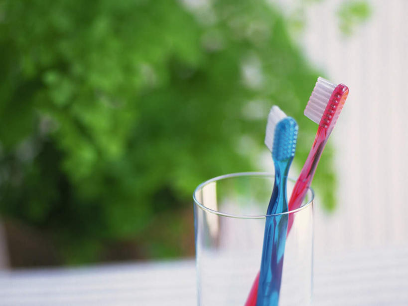 无人,横图,室内,特写,白天,正面,植物,窗户,落地窗,生活用品,静物,杯子,朦胧,模糊,牙刷,玻璃窗,玻璃制品,树,树木,两个,一个,红色,蓝色,绿色,自然,水杯,日用品,清洁,生长,单个,成长,洗漱用品,两支,卫生,玻璃杯,彩图