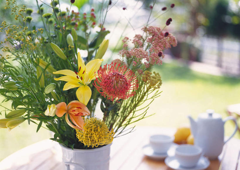 无人,横图,俯视,室外,白天,草地,草坪,植物,桌子,百合花,郁金香,杯子,餐具,花瓶,许多,朦胧,模糊,盛开,瓷器,碟子,盘,咖啡杯,陶瓷制品,花蕾,草,花,花瓣,花朵,鲜花,一个,绿色,盘子,瓶子,碟,花苞,花蕊,单个,瓷杯,强瞿,草原烽火,百合蒜,倒仙,番韭,山丹,郁香,洋荷花,草麝香,彩图,高角度拍摄