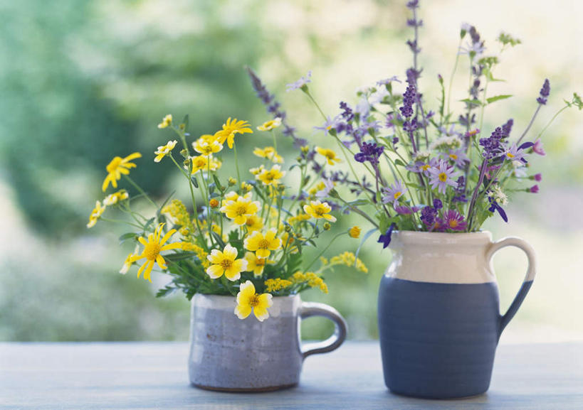 无人,横图,室外,白天,正面,快乐,幸福,桌子,杯子,花瓶,叶子,许多,朦胧,模糊,盛开,陶瓷,绿叶,玛格丽特,陶瓷制品,花蕾,雏菊,花,花瓣,花朵,鲜花,绿色,瓶子,花苞,花蕊,嫩叶,菊花,活力,希望,坚强,和平,离别,延命菊,幸福花,春菊,马兰头花,风蜡花,杰拉尔顿腊花,蜡花,淘金彩梅,暗恋,纯情,单恋,天真,叶,叶片,彩图,愉快