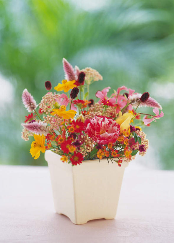 无人,竖图,俯视,室外,特写,白天,快乐,幸福,桌子,花瓶,叶子,许多,朦胧,模糊,盛开,陶瓷,帝王花,绿叶,玛格丽特,陶瓷制品,花蕾,雏菊,花,花瓣,花朵,鲜花,花苞,花蕊,嫩叶,菊花,活力,希望,菩提花,青葙,坚强,和平,离别,延命菊,幸福花,春菊,马兰头花,蜡菊,鸡冠苋,昆仑草,萋蒿,野鸡冠,暗恋,纯情,单恋,麦秆菊,天真,叶,叶片,彩图,高角度拍摄,愉快,木百合花