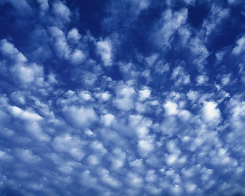 无人,横图,室外,特写,白天,仰视,阴影,光线,影子,云,云朵,云彩,蓝色,白云,蓝天,天空,阳光,天,遮,遮掩,晴朗,掩盖,遮挡,遮盖,掩饰,晴空,彩图,低角度拍摄