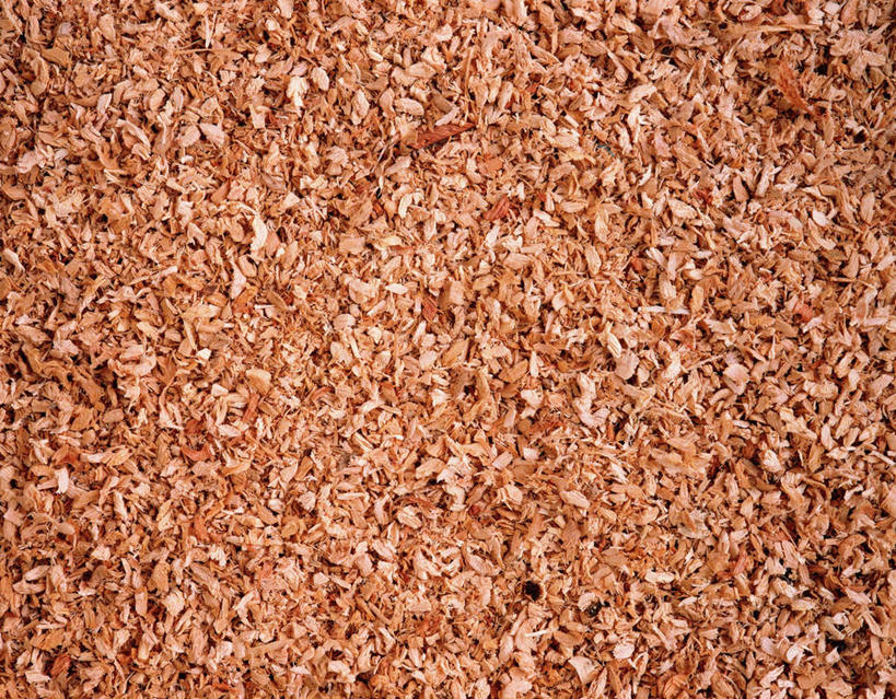 无人,横图,俯视,室内,特写,白天,静物,一堆,许多,阴影,堆叠,堆积,反射,木制,木屑,影子,垃圾,灰色,木制品,堆,废品,碎屑,废弃物,彩图,高角度拍摄