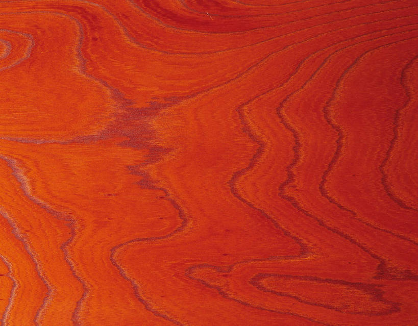 无人,横图,俯视,室内,特写,白天,静物,阴影,花纹,反射,纹路,木板,木材,纹理,影子,红色,木块,木料,肌理,榉树,大叶榉,红榉树,白榉,大叶榉树,彩图,高角度拍摄