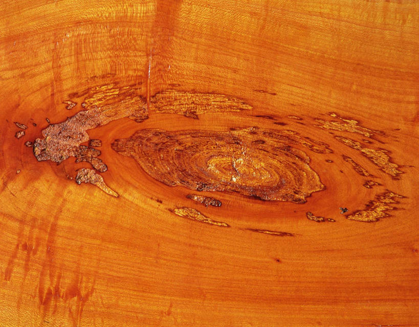 无人,横图,俯视,室内,特写,白天,静物,阴影,花纹,反射,纹路,木板,木材,纹理,影子,灰色,木块,木料,肌理,榉树,大叶榉,红榉树,白榉,大叶榉树,彩图,高角度拍摄