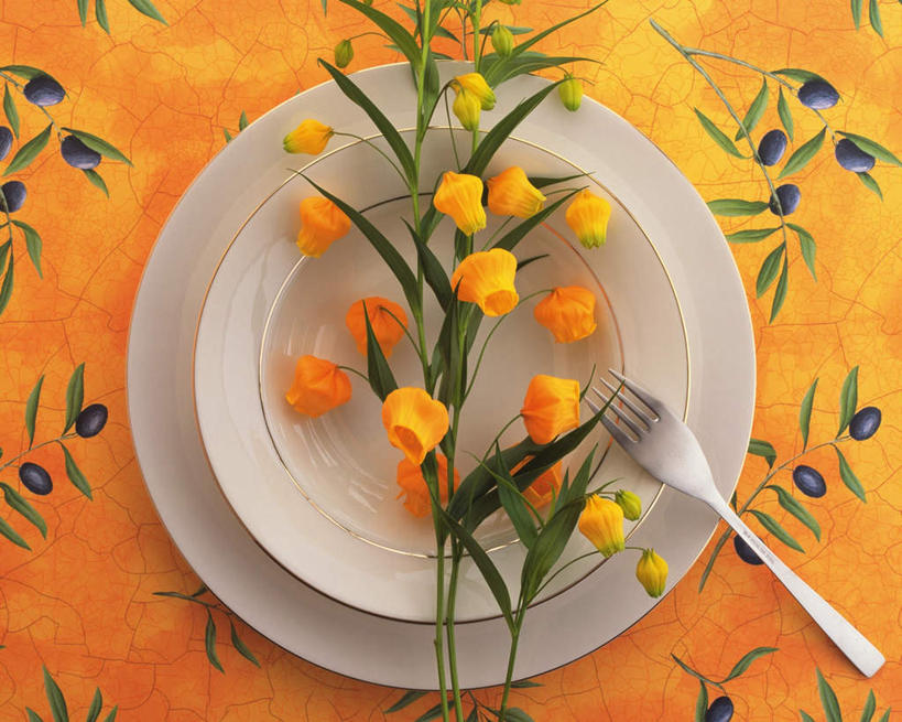 无人,横图,俯视,室内,特写,白天,桌子,静物,餐具,叶子,许多,阴影,反射,布料,叉子,碟子,盘,影子,绿叶,布纹,桌布,一个,黄色,盘子,餐巾,碟,台布,嫩叶,单个,灯笼花,餐叉,吊钟花,倒挂金钟,吊钟海棠,叶,叶片,进餐用具,彩图,高角度拍摄