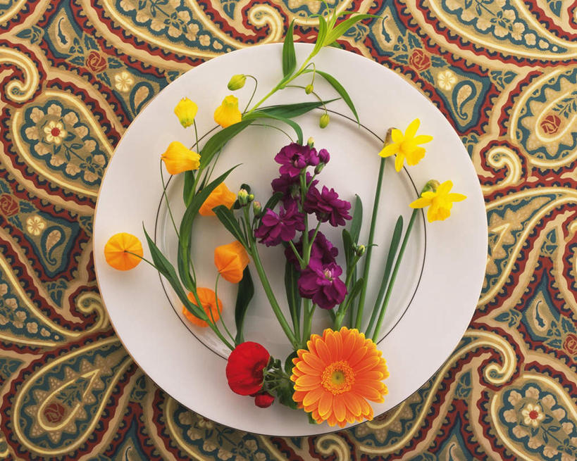 无人,横图,俯视,室内,特写,白天,幸福,纯洁,桌子,蝴蝶兰,餐具,许多,阴影,盛开,反射,布料,碟子,盘,影子,非洲菊,美丽,花蕾,布纹,桌布,花,花瓣,花朵,鲜花,一个,盘子,餐巾,碟,台布,花苞,花蕊,菊花,单个,灯笼花,吊钟花,倒挂金钟,吊钟海棠,扶郎花,灯盏花,千日菊,初恋,蝶兰,兰中皇后,黄水仙,喇叭水仙,洋水仙,彩图,高角度拍摄