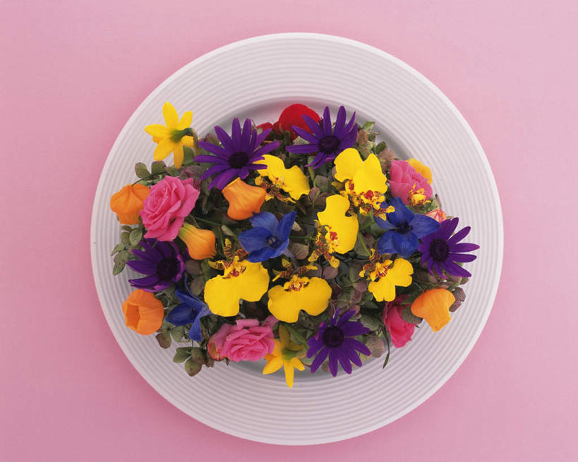 无人,横图,俯视,室内,特写,白天,爱情,幸福,纯洁,热情,蝴蝶兰,玫瑰,餐具,许多,阴影,粉色背景,盛开,反射,碟子,盘,影子,玫瑰花,浪漫,美丽,花蕾,花,花瓣,花朵,鲜花,盘子,碟,花苞,花蕊,温暖,温馨,恩爱,摄影,影棚,和睦,感动,灯笼花,吊钟花,萝小花,倒挂金钟,吊钟海棠,尊敬,初恋,蝶兰,兰中皇后,翠雀,天真,刺玫花,大花飞燕草,飞燕草,徘徊花,彩图,高角度拍摄,影棚拍摄,拍摄,融洽