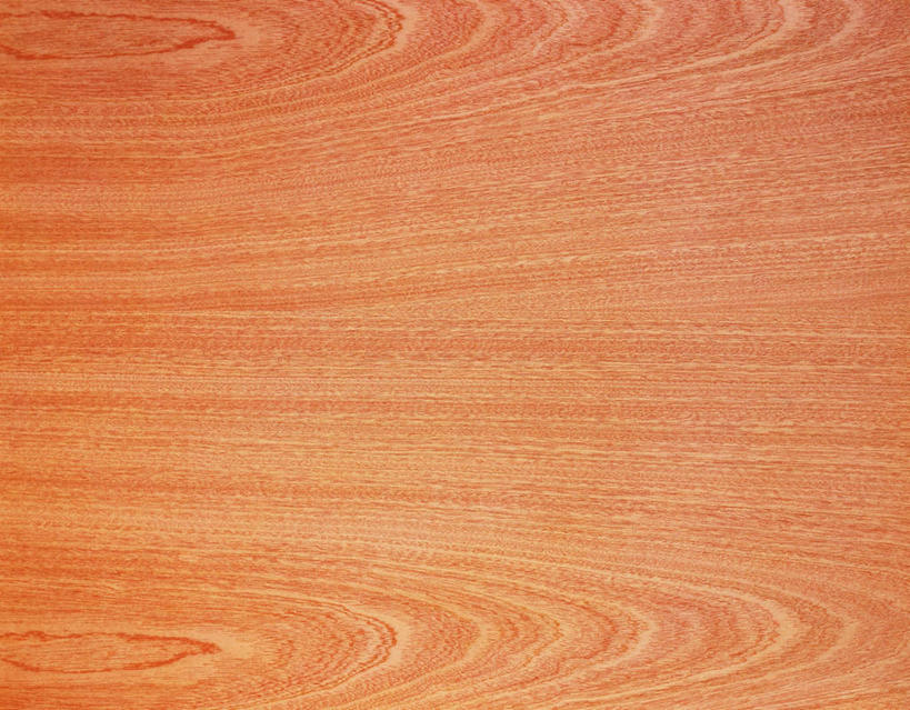 无人,横图,俯视,室内,特写,白天,静物,阴影,花纹,反射,纹路,木板,木材,纹理,影子,灰色,木块,木料,肌理,榉树,大叶榉,红榉树,白榉,大叶榉树,彩图,高角度拍摄