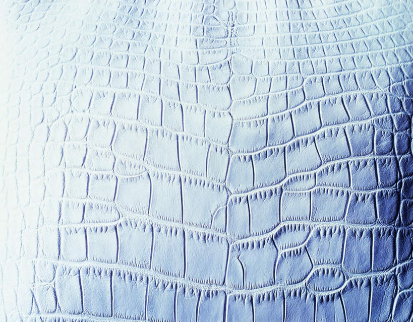 无人,横图,俯视,室内,特写,白天,鳄鱼,静物,阴影,反射,纹路,图案,纹理,影子,银色,摄影,影棚,鳄鱼皮,肌理,彩图,高角度拍摄,影棚拍摄,拍摄